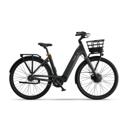 Ecoride Ambassador 4 Sort