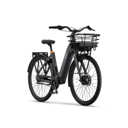 Ecoride Ambassador 4 Sort