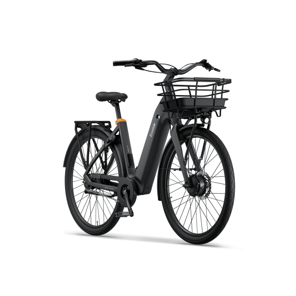 Ecoride Ambassador 4 Sort