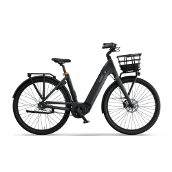 Ecoride Ambassador Gen4 mid - Sort