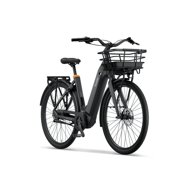 Ecoride Ambassador Gen4 mid - Sort