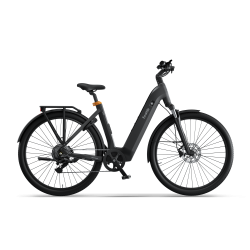 Ecoride Tripper Gen4 low - Sort