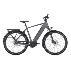 Gazelle Ultimate C5+ - Herre