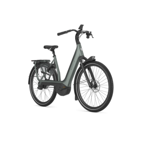 Gazelle Avignon C380+ Dame - Twilight green