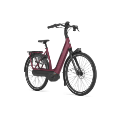    Gazelle Avignon C8 HMB