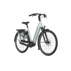 Gazelle Grenoble C8 HMB Dame - Light olive