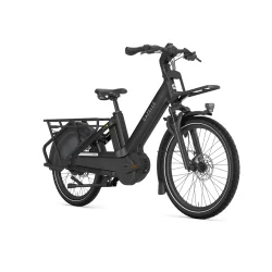 Gazelle Cabby C380 - Dame