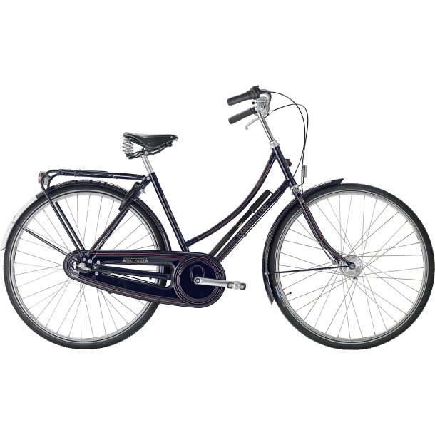 Raleigh Tourist De Luxe 3g D KONGEBL 