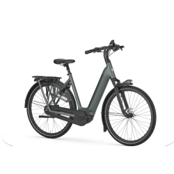 Gazelle Arroyo C8+ Elite Green