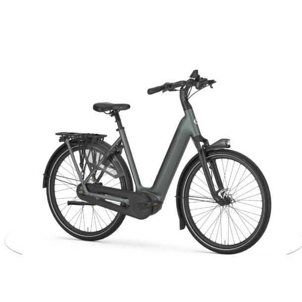 Gazelle Arroyo C8+ Elite Green