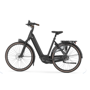 Gazelle Arroyo C8+ Elite Black