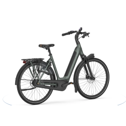 Gazelle Arroyo C8+ Elite Green