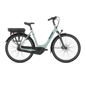 Gazelle Paris C7 HMB Oliven