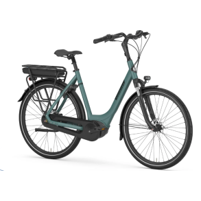 Gazelle Paris C8 dame green