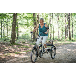 Stabilo Small P25 - Trehjulet cykel med elmotor NY