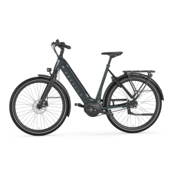 Gazelle Ultimate C8+ Belt pine green