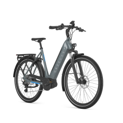 Gazelle Ultimate T10 HBM grey