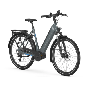 Gazelle Ultimate T10 HBM grey