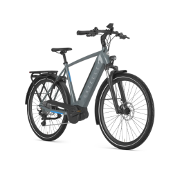 Gazelle Ultimate T10 HBM Herre grey