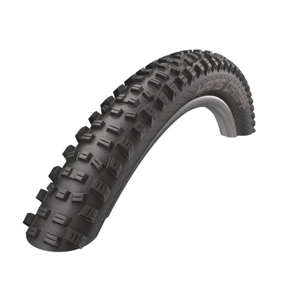 Schwalbe Hans Dampf